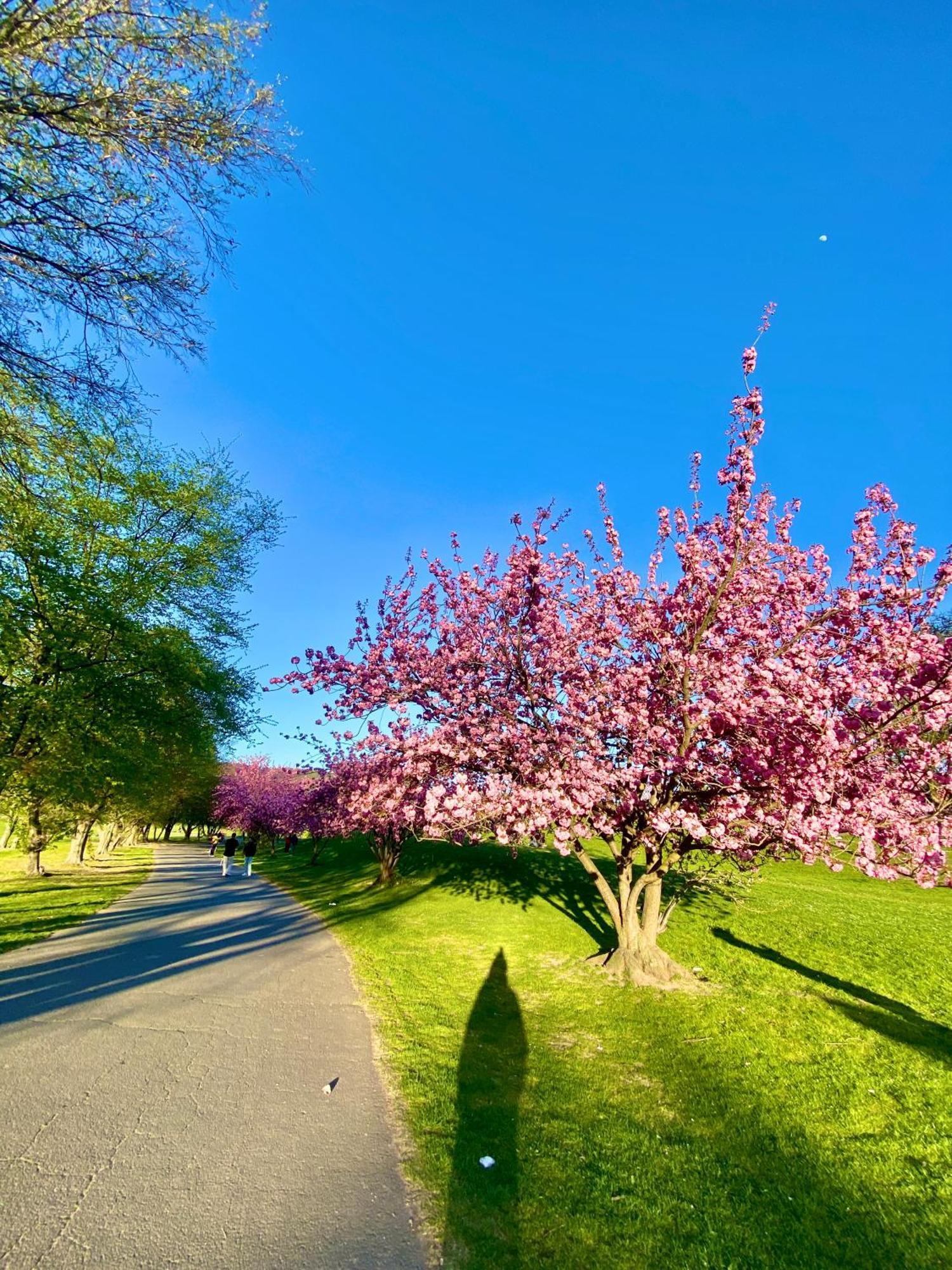 Zuhause Auf Zeit-gemuetliche Gaestezimmer Bonn